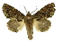  ( - INB0004147412)  @15 [ ] Copyright (2012) Juan Mata Lorenzen Unspecified