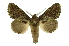  ( - INB0004147415)  @14 [ ] Copyright (2012) Juan Mata Lorenzen Unspecified
