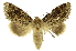  ( - INB0004147455)  @11 [ ] Copyright (2012) Juan Mata Lorenzen Unspecified