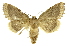  ( - INB0004147455)  @11 [ ] Copyright (2012) Juan Mata Lorenzen Unspecified