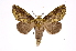  ( - INB0004147508)  @14 [ ] Copyright (2012) I. Chacon Instituto Nacional de Biodiversidad