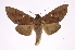  ( - INB0004152060)  @14 [ ] Copyright (2012) I. Chacon Instituto Nacional de Biodiversidad