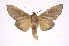  ( - INB0004152060)  @14 [ ] Copyright (2012) I. Chacon Instituto Nacional de Biodiversidad
