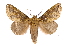  ( - INB0004152108)  @14 [ ] Copyright (2012) I. Chacon Instituto Nacional de Biodiversidad