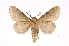  ( - INB0004152108)  @14 [ ] Copyright (2012) I. Chacon Instituto Nacional de Biodiversidad