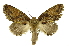  ( - INB0004153857)  @14 [ ] Copyright (2012) Juan Mata Lorenzen Unspecified