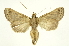  ( - INB0004153918)  @11 [ ] Copyright (2012) Juan Mata Lorenzen Unspecified