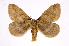  ( - INB0004153992)  @14 [ ] Copyright (2012) I. Chacon Instituto Nacional de Biodiversidad