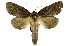  ( - INB0004157412)  @11 [ ] Copyright (2012) Juan Mata Lorenzen Unspecified