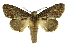  ( - INB0004157492)  @14 [ ] Copyright (2012) Juan Mata Lorenzen Unspecified