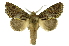  ( - INB0004157869)  @14 [ ] Copyright (2012) Juan Mata Lorenzen Unspecified