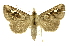  ( - INB0004158563)  @13 [ ] Copyright (2012) Juan Mata Lorenzen Unspecified