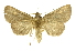  ( - INB0004158563)  @13 [ ] Copyright (2012) Juan Mata Lorenzen Unspecified
