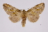  ( - INB0004158709)  @14 [ ] Copyright (2012) I. Chacon Instituto Nacional de Biodiversidad