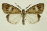  ( - INB0004159567)  @14 [ ] Copyright (2012) Juan Mata Lorenzen Unspecified