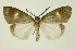  ( - INB0004159567)  @14 [ ] Copyright (2012) Juan Mata Lorenzen Unspecified