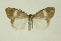  ( - INB0004159568)  @13 [ ] Copyright (2012) Juan Mata Lorenzen Unspecified