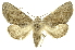  ( - INB0004160424)  @13 [ ] Copyright (2012) Juan Mata Lorenzen INBio