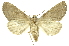  ( - INB0004160424)  @13 [ ] Copyright (2012) Juan Mata Lorenzen INBio