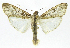  ( - INB0004160598)  @14 [ ] CreativeCommons - Attribution Non-Commercial Share-Alike  National Biodiversity Institute of Costa Rica National Biodiversity Institute of Costa Rica