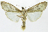  ( - INB0004160598)  @14 [ ] CreativeCommons - Attribution Non-Commercial Share-Alike  National Biodiversity Institute of Costa Rica National Biodiversity Institute of Costa Rica