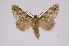  ( - INB0004160657)  @14 [ ] Copyright (2012) I. Chacon Instituto Nacional de Biodiversidad