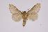  ( - INB0004160657)  @14 [ ] Copyright (2012) I. Chacon Instituto Nacional de Biodiversidad