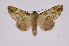 ( - INB0004160661)  @14 [ ] Copyright (2012) I. Chacon Instituto Nacional de Biodiversidad
