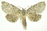  ( - INB0004160691)  @14 [ ] Copyright (2012) Juan Mata Lorenzen Unspecified