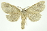  ( - INB0004160691)  @14 [ ] Copyright (2012) Juan Mata Lorenzen Unspecified