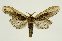  ( - INB0004160989)  @14 [ ] Copyright (2012) J. Montero INBio