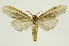  ( - INB0004160989)  @13 [ ] Copyright (2012) J. Montero INBio