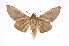  ( - INB0004161212)  @14 [ ] Copyright (2012) I. Chacon Instituto Nacional de Biodiversidad
