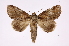  ( - INB0004162554)  @13 [ ] Copyright (2012) I. Chacon Instituto Nacional de Biodiversidad
