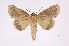  ( - INB0004162554)  @13 [ ] Copyright (2012) I. Chacon Instituto Nacional de Biodiversidad