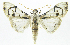  ( - INB0004162579)  @13 [ ] CreativeCommons - Attribution Non-Commercial Share-Alike  National Biodiversity Institute of Costa Rica National Biodiversity Institute of Costa Rica