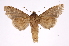  ( - INB0004162954)  @12 [ ] Copyright (2012) I. Chacon Instituto Nacional de Biodiversidad