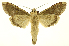  ( - INB0004163119)  @13 [ ] Copyright (2012) Juan Mata Lorenzen Unspecified