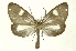  ( - INB0004165380)  @13 [ ] Copyright (2012) Juan Mata Lorenzen Unspecified
