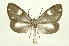  ( - INB0004165380)  @13 [ ] Copyright (2012) Juan Mata Lorenzen Unspecified