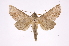 ( - INB0004166212)  @14 [ ] Copyright (2012) I. Chacon Instituto Nacional de Biodiversidad