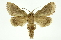  ( - INB0004169674)  @11 [ ] Copyright (2012) Juan Mata Lorenzen Unspecified