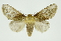  ( - INB0004169950)  @14 [ ] Copyright (2012) Juan Mata Lorenzen Unspecified
