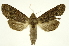  ( - INB0004170060)  @13 [ ] Copyright (2012) Juan Mata Lorenzen Unspecified