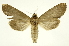  ( - INB0004170060)  @13 [ ] Copyright (2012) Juan Mata Lorenzen Unspecified