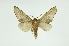  ( - INB0004173272)  @14 [ ] Copyright (2012) Juan Mata Lorenzen Unspecified