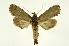  ( - INB0004173401)  @14 [ ] Copyright (2012) Juan Mata Lorenzen Unspecified