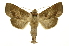  ( - INB0004174709)  @15 [ ] Copyright (2012) Juan Mata Lorenzen Unspecified