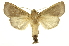  ( - INB0004174709)  @15 [ ] Copyright (2012) Juan Mata Lorenzen Unspecified