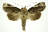  ( - INB0004174749)  @14 [ ] Copyright (2012) Juan Mata Lorenzen Unspecified